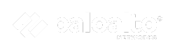 Palo Alto Partner White Logo Version
