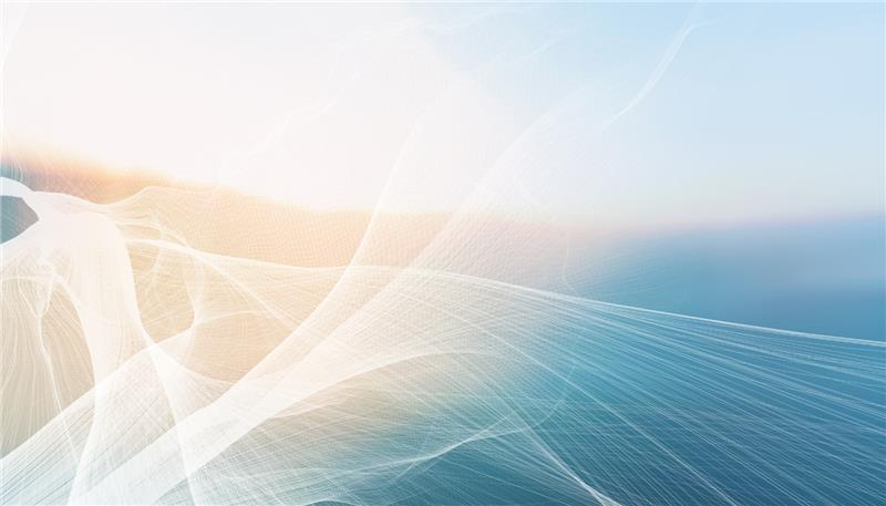 New PAN-OS Vulnerability Exposed: Steps to Defend Your Network 