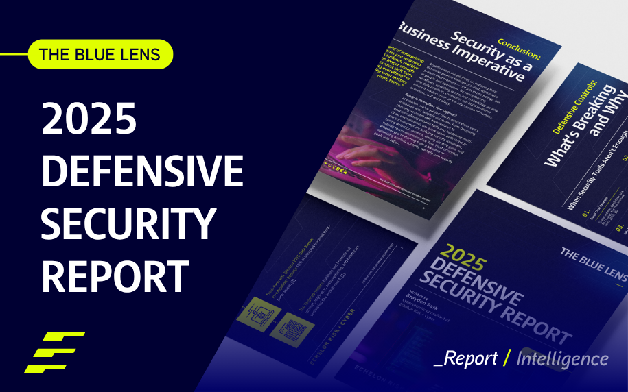 The Blue Lens: 2025 Defensive Security Report 